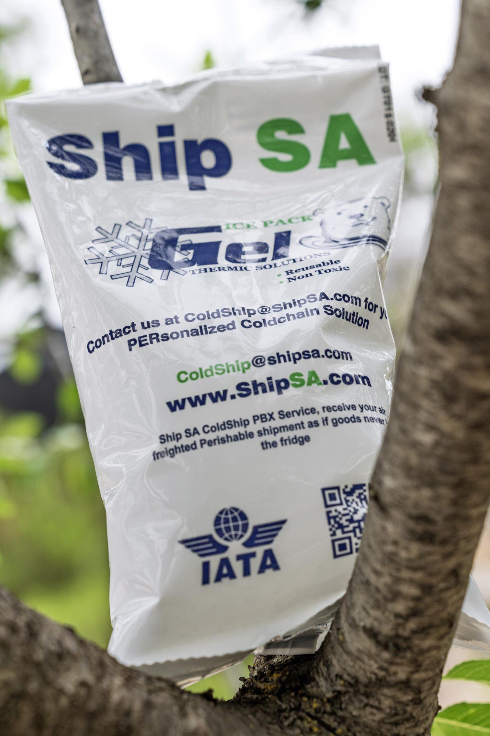 shipsa-25